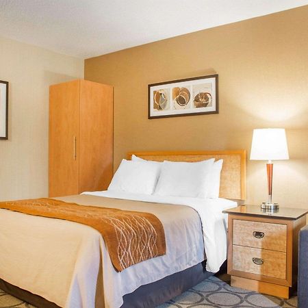 Comfort Inn Brantford Kültér fotó